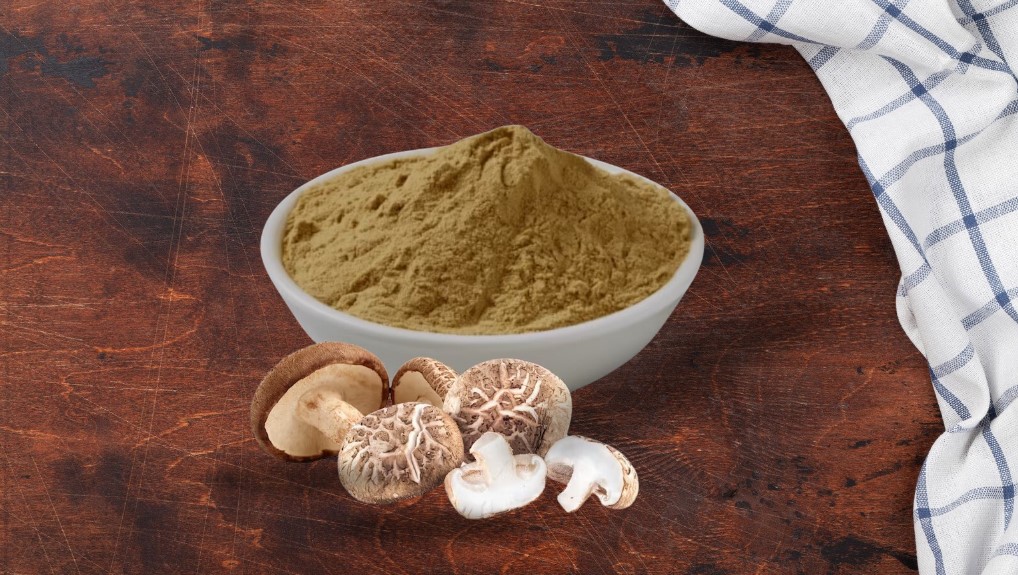 Mushroom powder benefits