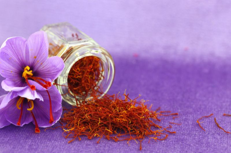 Saffron in ADHD Treatment